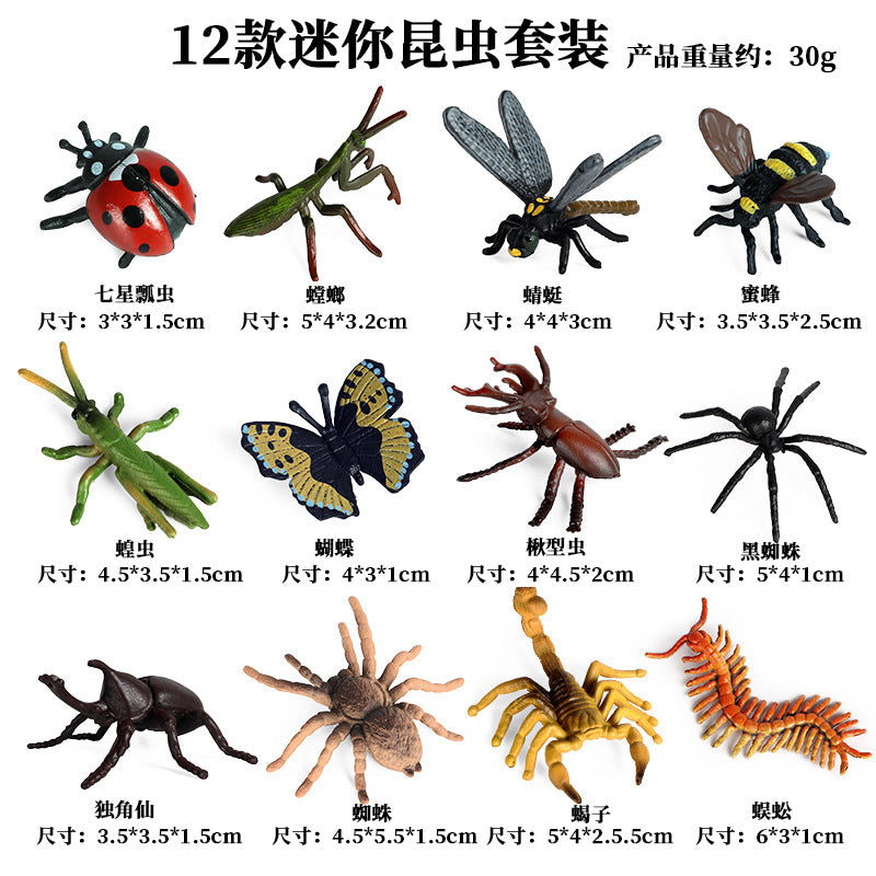 https://cbu01.alicdn.com/img/ibank/23198084759_1464955482.jpg