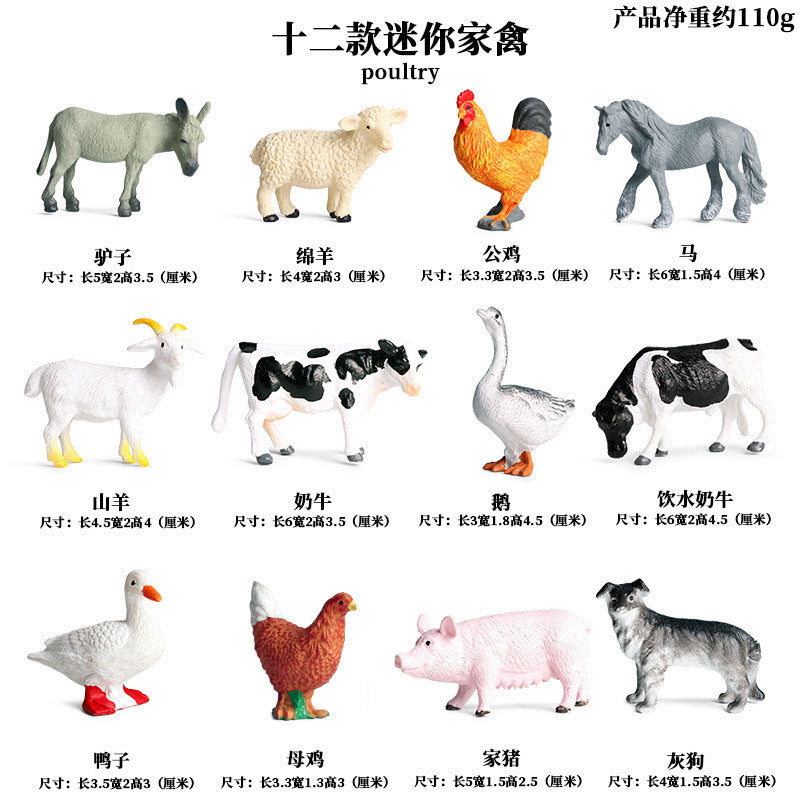 https://cbu01.alicdn.com/img/ibank/23452001207_1464955482.jpg
