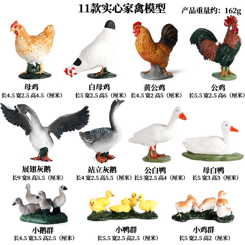 https://cbu01.alicdn.com/img/ibank/O1CN01KMer9u1qIDzPna4zJ_!!2916395472-0-cib.jpg