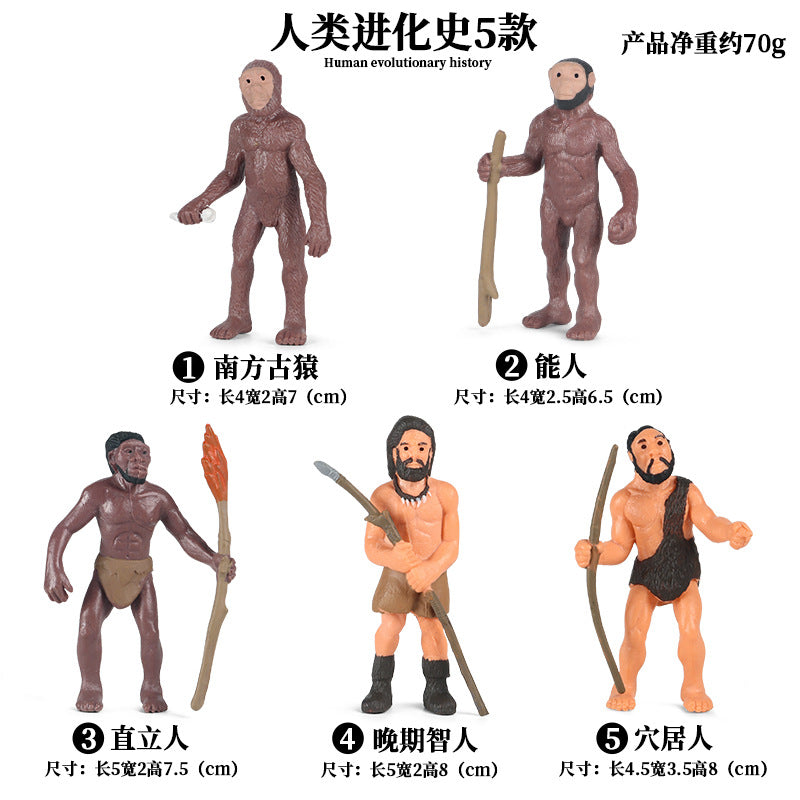 https://cbu01.alicdn.com/img/ibank/O1CN01NBarXN1qIDy24wvti_!!2916395472-0-cib.jpg