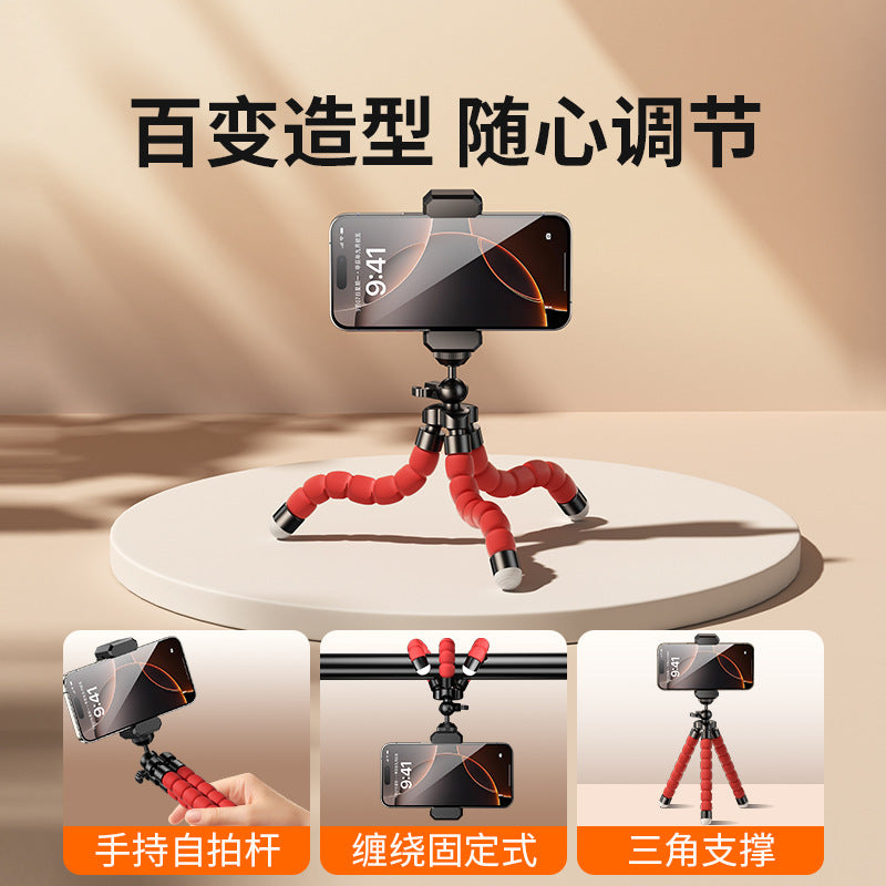 https://cbu01.alicdn.com/img/ibank/O1CN01Twigvx1XJAPCO0jRM_!!2200694292902-0-cib.jpg