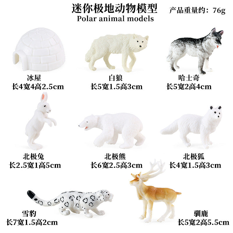 https://cbu01.alicdn.com/img/ibank/O1CN01ofIJiG1qIE29N1Zxn_!!2916395472-0-cib.jpg