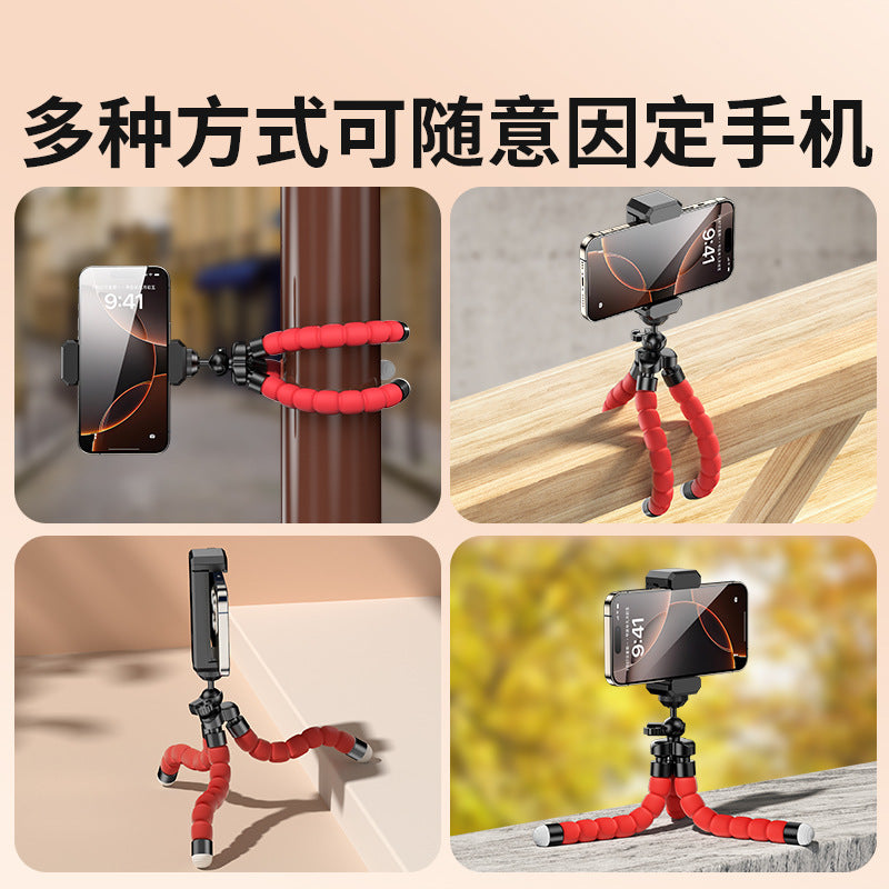 https://cbu01.alicdn.com/img/ibank/O1CN01rpRCP01XJAPA0EOZ7_!!2200694292902-0-cib.jpg