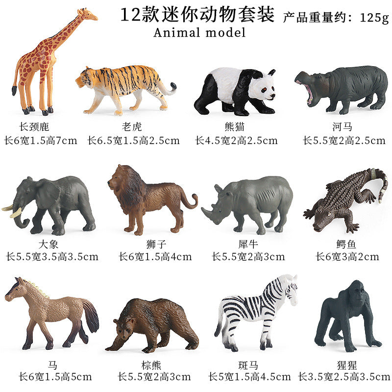 https://cbu01.alicdn.com/img/ibank/O1CN01xp9scw1qIE54ovHOe_!!2916395472-0-cib.jpg